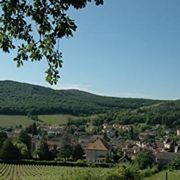 Sur les sentiers du Sud Bourgogne - De Tournus à Lugny - TOURNUS