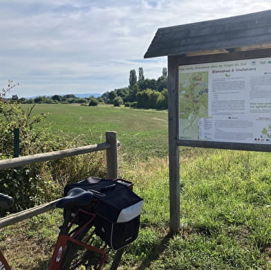 Voie Verte Lure - Vallée de l'Ognon