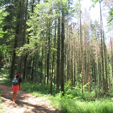 Randonnée pédestre : le Creux de l'Envers