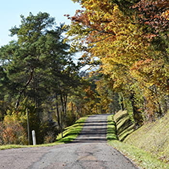 La Véloroute du Crémant en Bourgogne - VIX