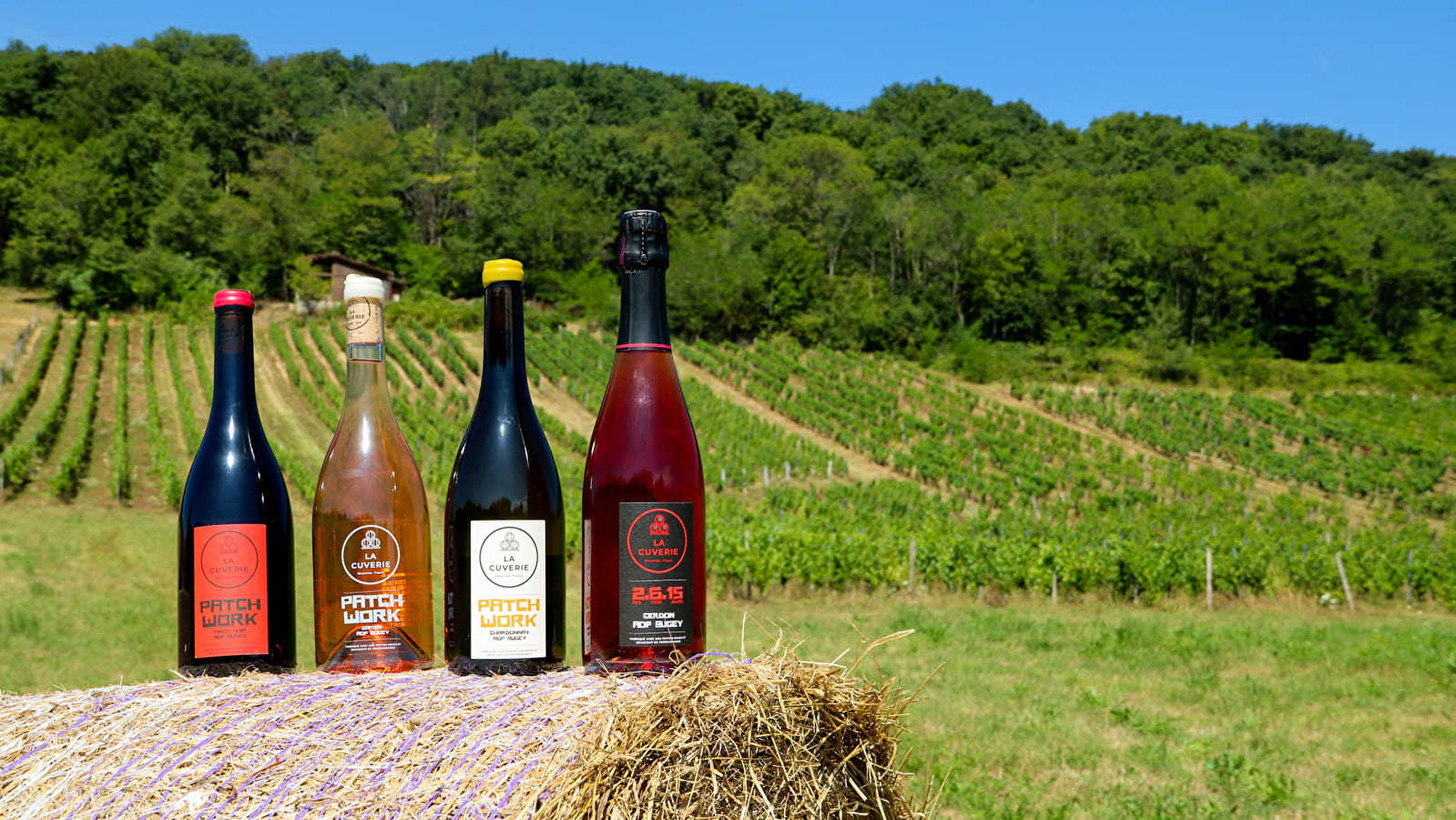 La Cuverie - Aurelien Beyeklian