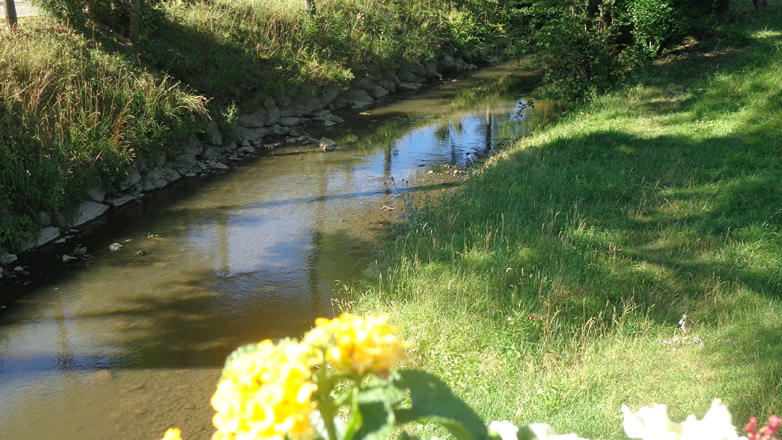 Circuit 'Escapade nature au coeur du bocage bressan'