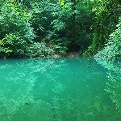 Tour de Pays VTT Bugey - Grand Colombier - Espace FFC Ain Forestière : étape 1 Culoz - La Praille
