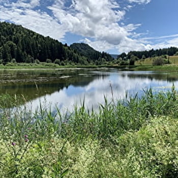 Randonnée - La ronde des étangs Marron - BRENOD