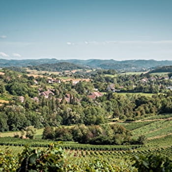 Entre Seille et Vignoble - QUINTIGNY