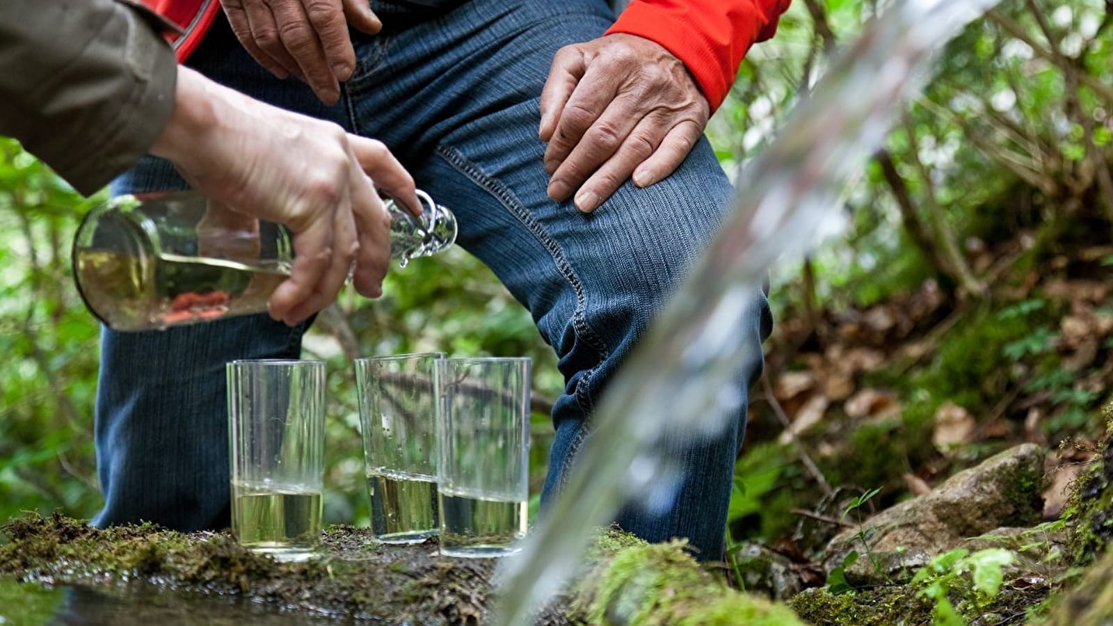 Découverte de la route de l'Absinthe