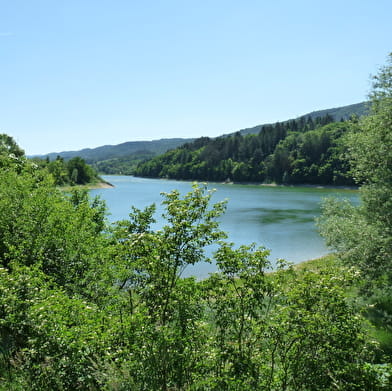 Circuit Jurassic Vélo Tours n°40 - Le tour de l'Oignin ou la rivière domptée