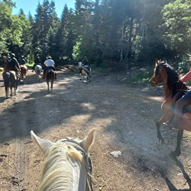 Circuit du Bugey-Valromey