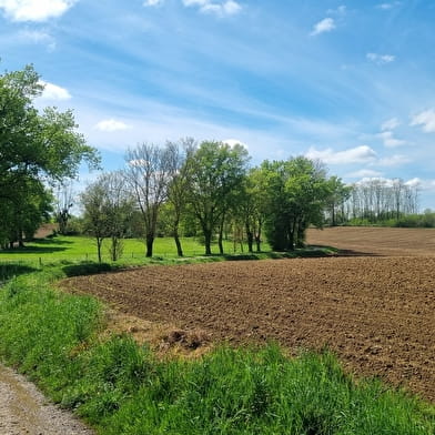Circuit Gravel n°25 (rouge) Comté de Montrevel - Domaine du Sougey