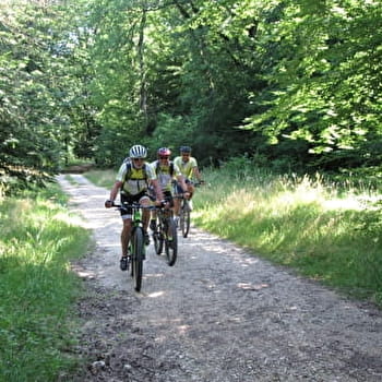 Tour des Champs Cerisiers - BELFORT