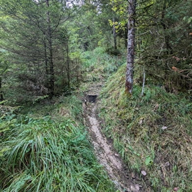 Parcours initiation Cani'trail de Nantua