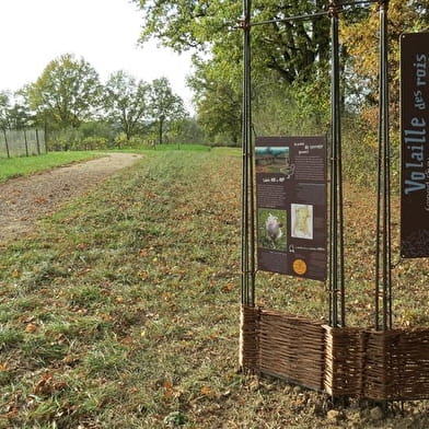 Sentier d’interprétation du Sougey
