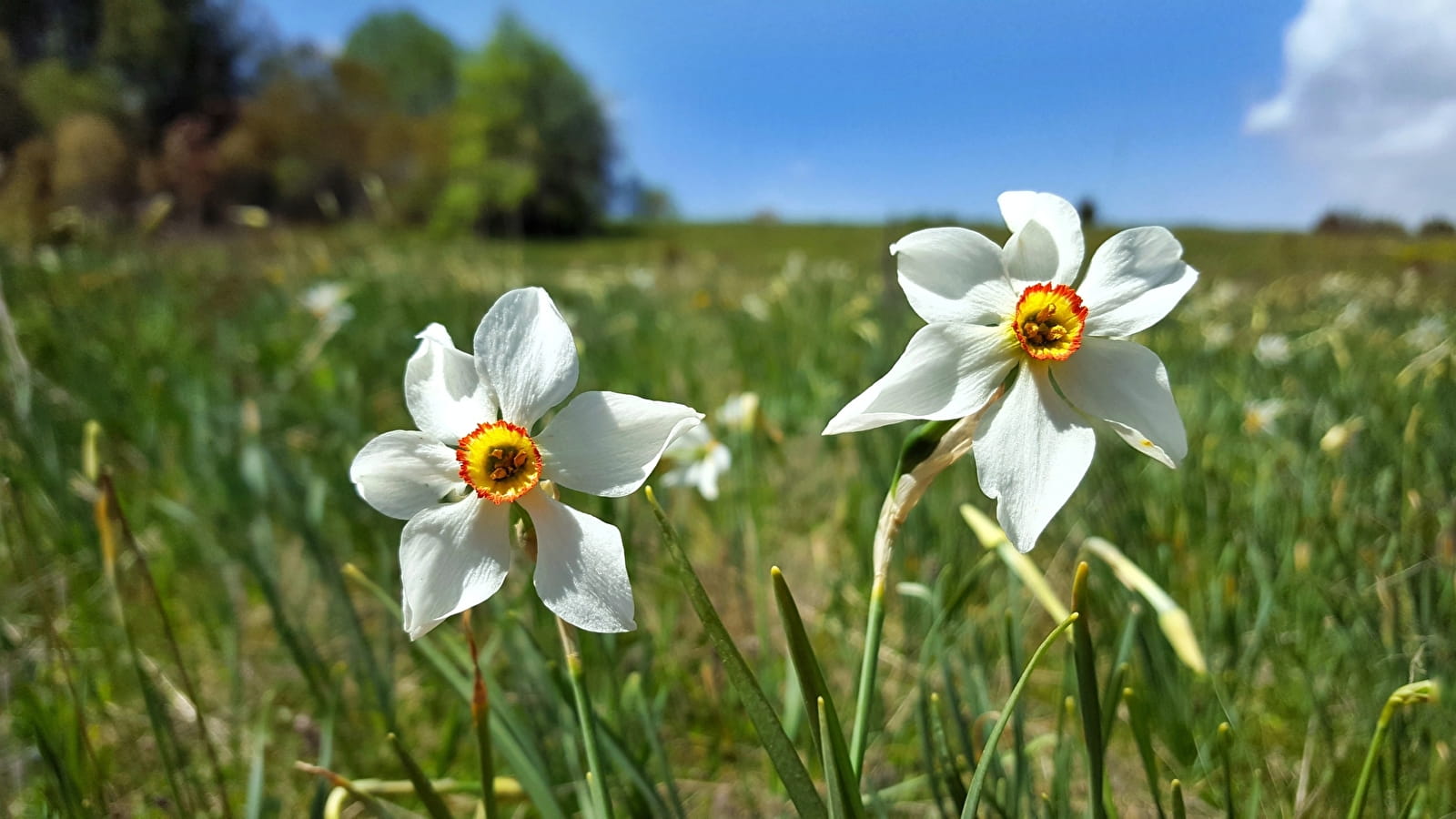 Circuit La ronde des Plans
