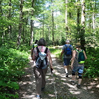 Circuit de la Croix Cavalier - TINTRY