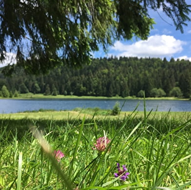 Parcours VTT 69 rouge - Du lac Genin aux bords de Sylans - Espace FFC Ain Forestière