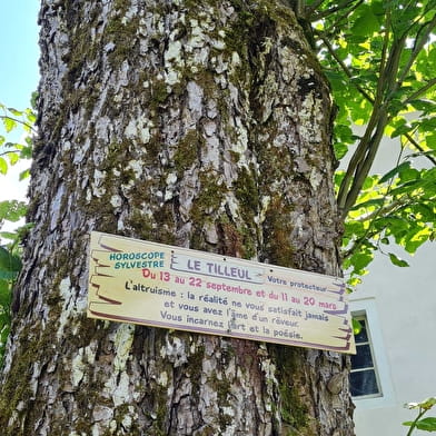 Sur le sentier des Arts : l'horoscope sylvestre