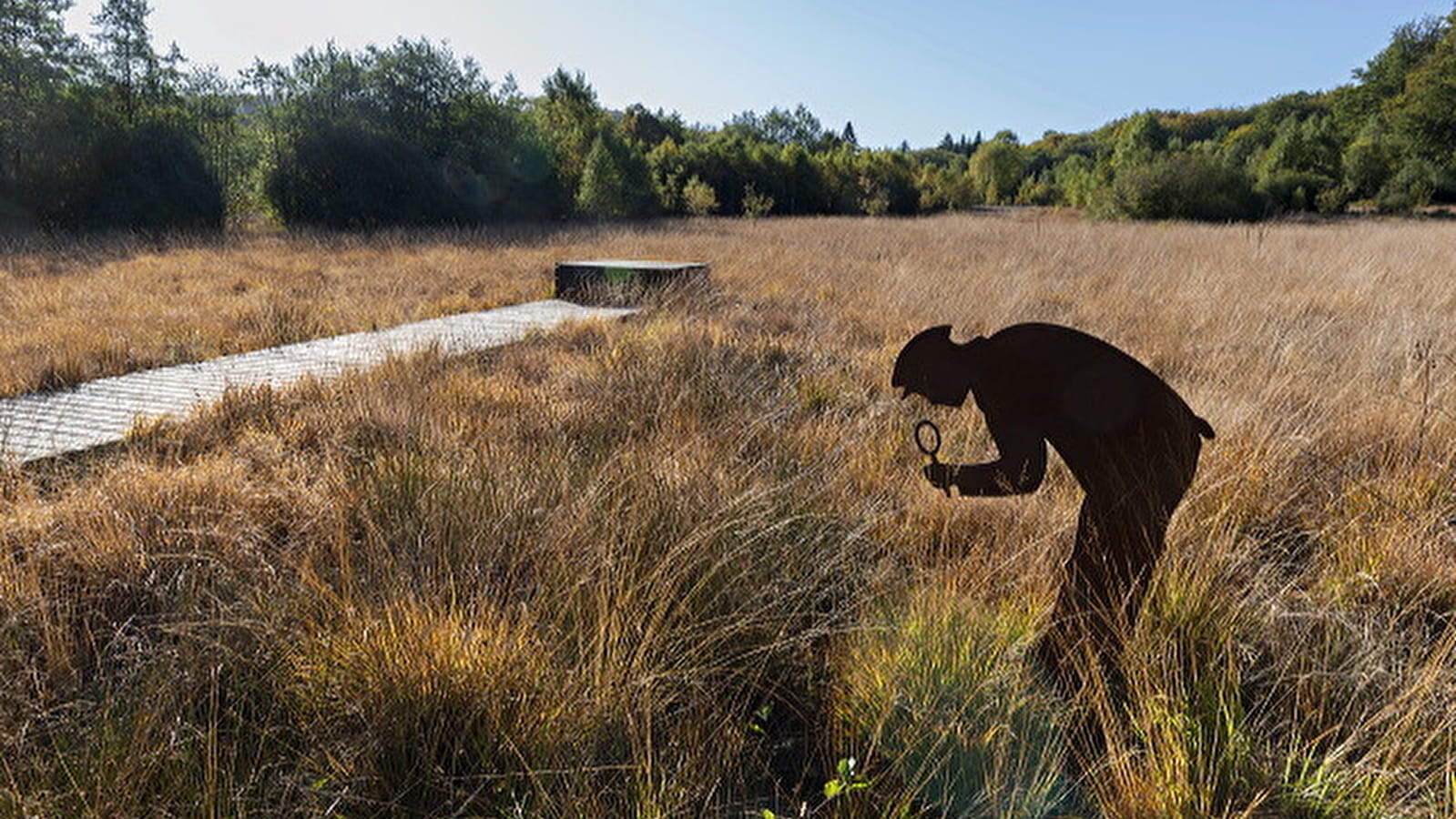 Vers les bois du Folin