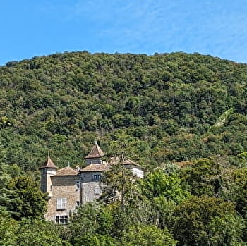 Parcours VTTAE 72 bleu - Des Gorges de l'Oignin aux Gorges de l'Ain - Espace FFC Ain Forestière - SAMOGNAT