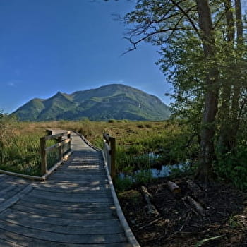 Sentier nature du Marais de Lavours - CEYZERIEU