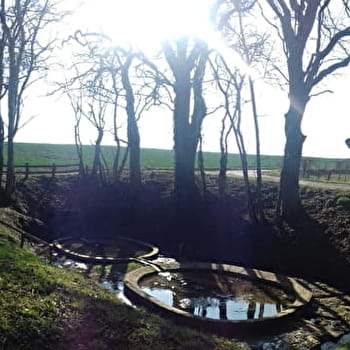 Circuit la Fontaine des Ormois - Lisey - SOING-CUBRY-CHARENTENAY