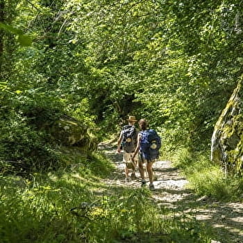 Portion du chemin de Saint-Jacques de Compostellle (GR765) - POULE-LES-ECHARMEAUX