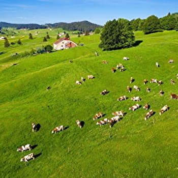 Les Hautes Combes - 1R - LES MOUSSIERES