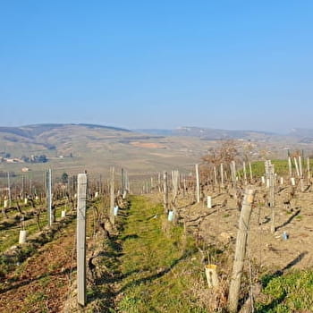 Vélo-Gourmande 5e édition - Parcours long - MACON