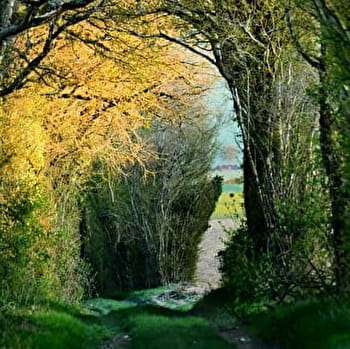 À cheval sur le Roichat et la Montagne des Alouettes - LAINSECQ