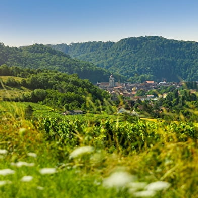 Tour du Jura Vélo Loisirs – Option Gravel : Port-Lesney – Poligny
