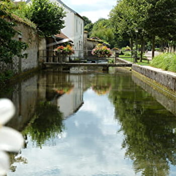 Tour de la Combe Marey - IS-SUR-TILLE