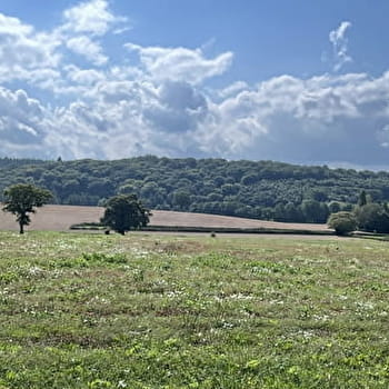 Au loin, les forêts - SAINT-VALLIER
