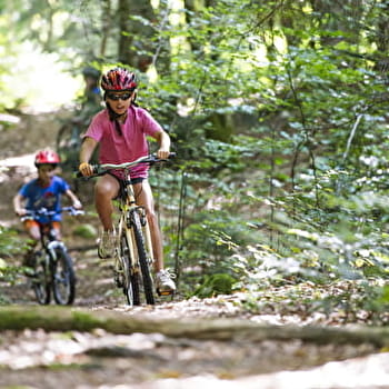 Parcours VTT 61 vert - La Familiale - Espace FFC Ain Forestière - LE POIZAT-LALLEYRIAT