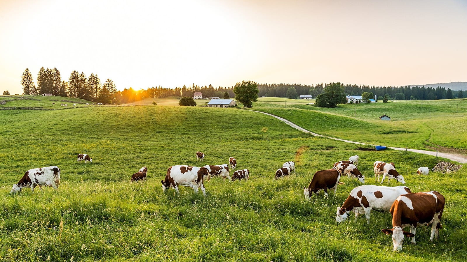 Tour du Bief de la Chaille - 15V