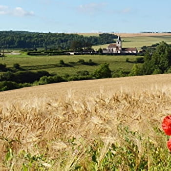 Sources et Rouissoirs - POISEUL-LES-SAULX
