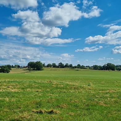 Circuit VTTAE n°10 - Lé prô, lé beû de Foissiat-Etrez (prés et bois)