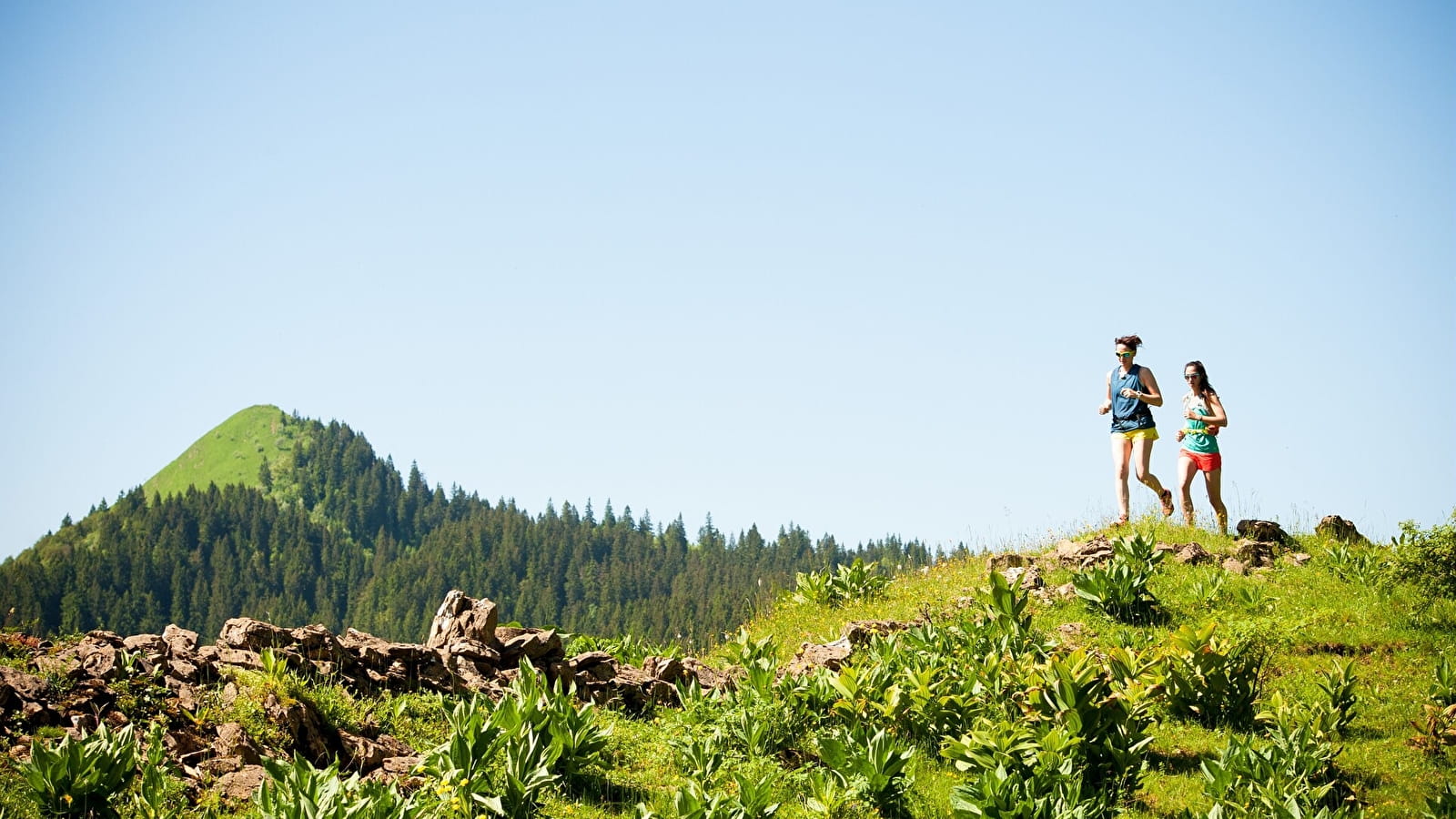 Les Hautes Combes - 19N