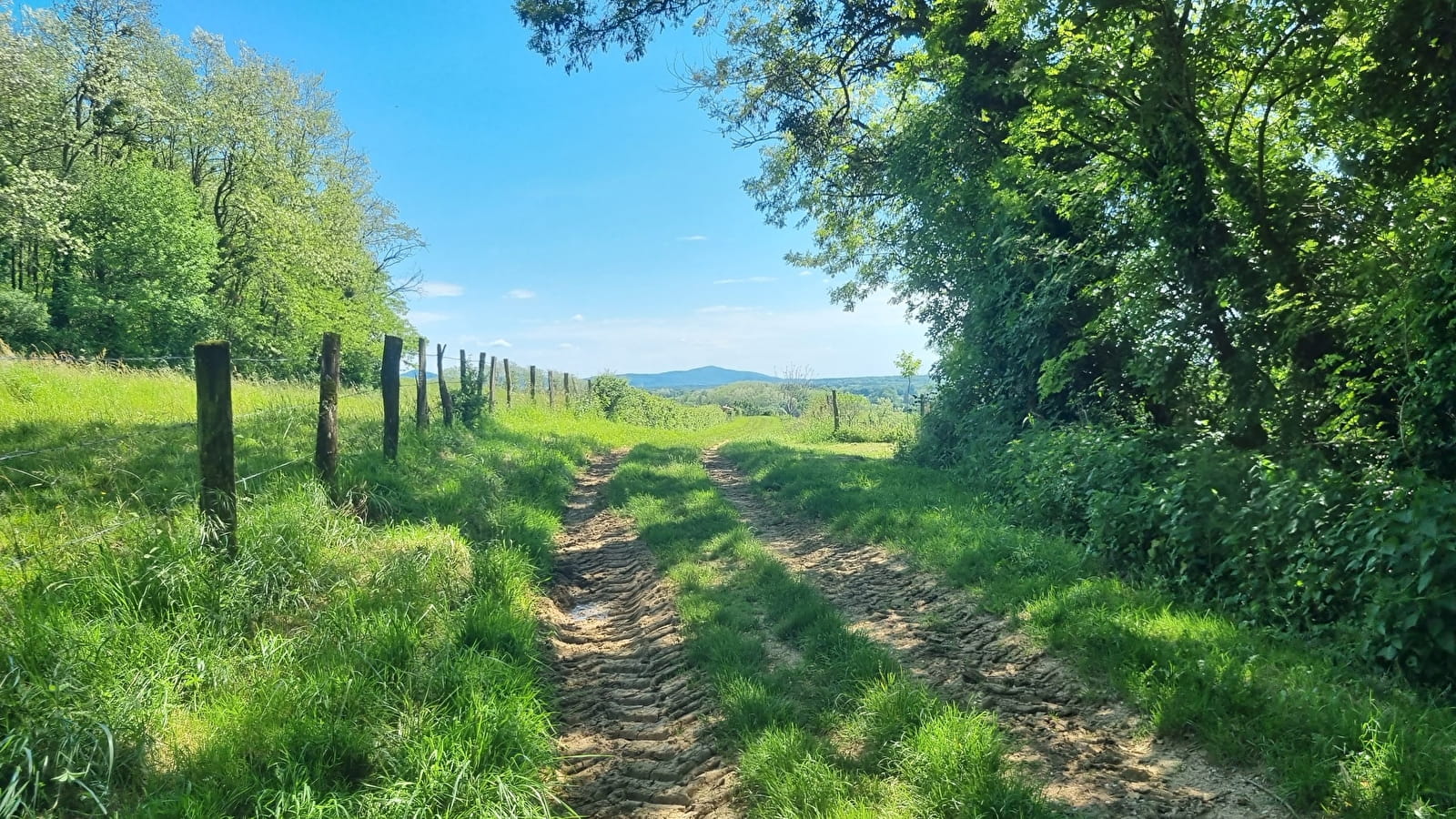 Circuit VTT n°12 (rouge) - Cavets, Villages revermontois