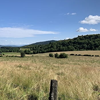 Randonnée - Le circuit des quatre villages - PLATEAU D'HAUTEVILLE