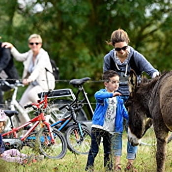 Itinéraire Chauffailles - La Clayette - CHAUFFAILLES