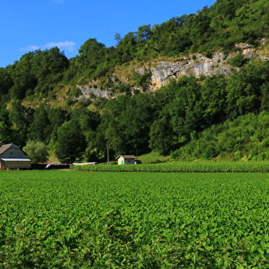 Circuit de randonnée pédestre : Le tour de Groslée