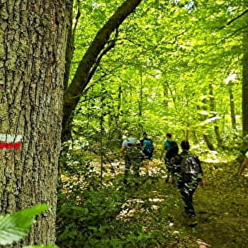 Les sentiers de Grande Randonnée et GR de Pays -