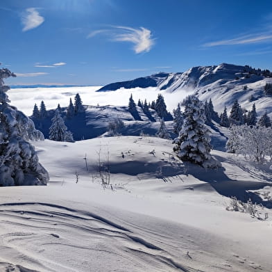 Sentier raquettes Les Montronds
