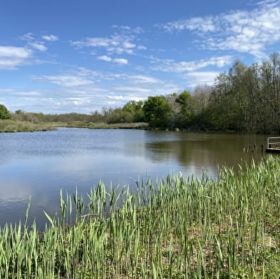 Le Sentier des étangs Vaillant, du Crêt et du Fort