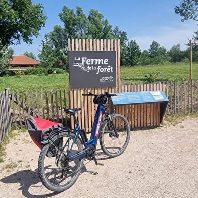 Circuit VTT-VTC n°15 (rouge) - Grand tour de la Haute Bresse