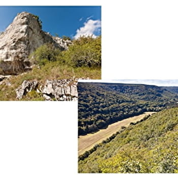 Le Bouton d'Or - MESSIGNY-ET-VANTOUX