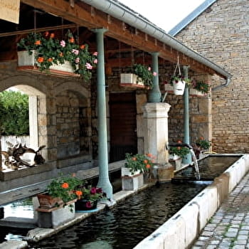 Lavoirs et Fontaines - PLACEY
