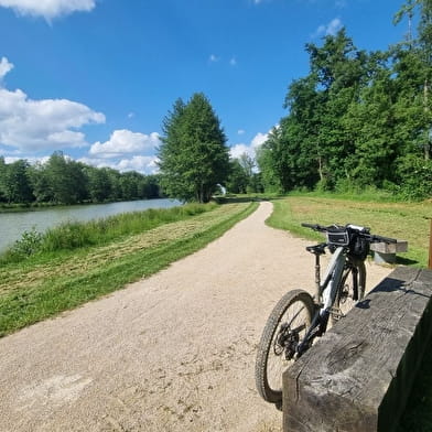 Circuit VTT-VTC n°15 (rouge) - Grand tour de la Haute Bresse