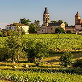 Entre blanc et rouge - Crêches-sur-Saône - Le bourg - CRECHES-SUR-SAONE