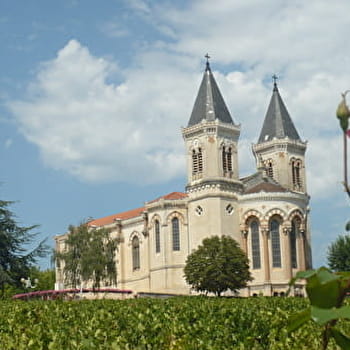 Circuit Vignes et sous bois - REGNIE-DURETTE
