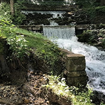 Randonnée : Mont-Mussy par la grande source - DIVONNE-LES-BAINS